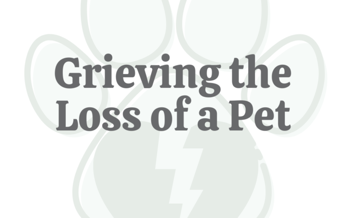Grieving the Loss of a Pet