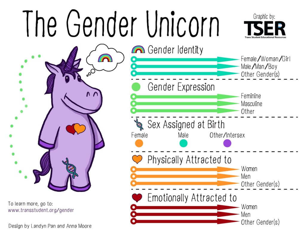 gender unicorn - TSER