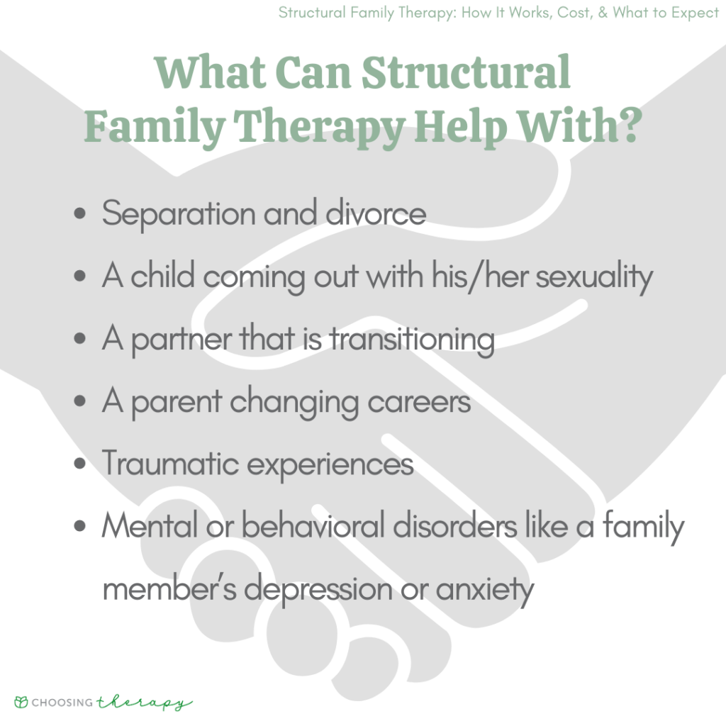 What Can Structural Family Therapy Help With?