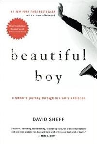 Beautiful Boy: A Father’s Journey Through His Son’s Addiction by David Sheff