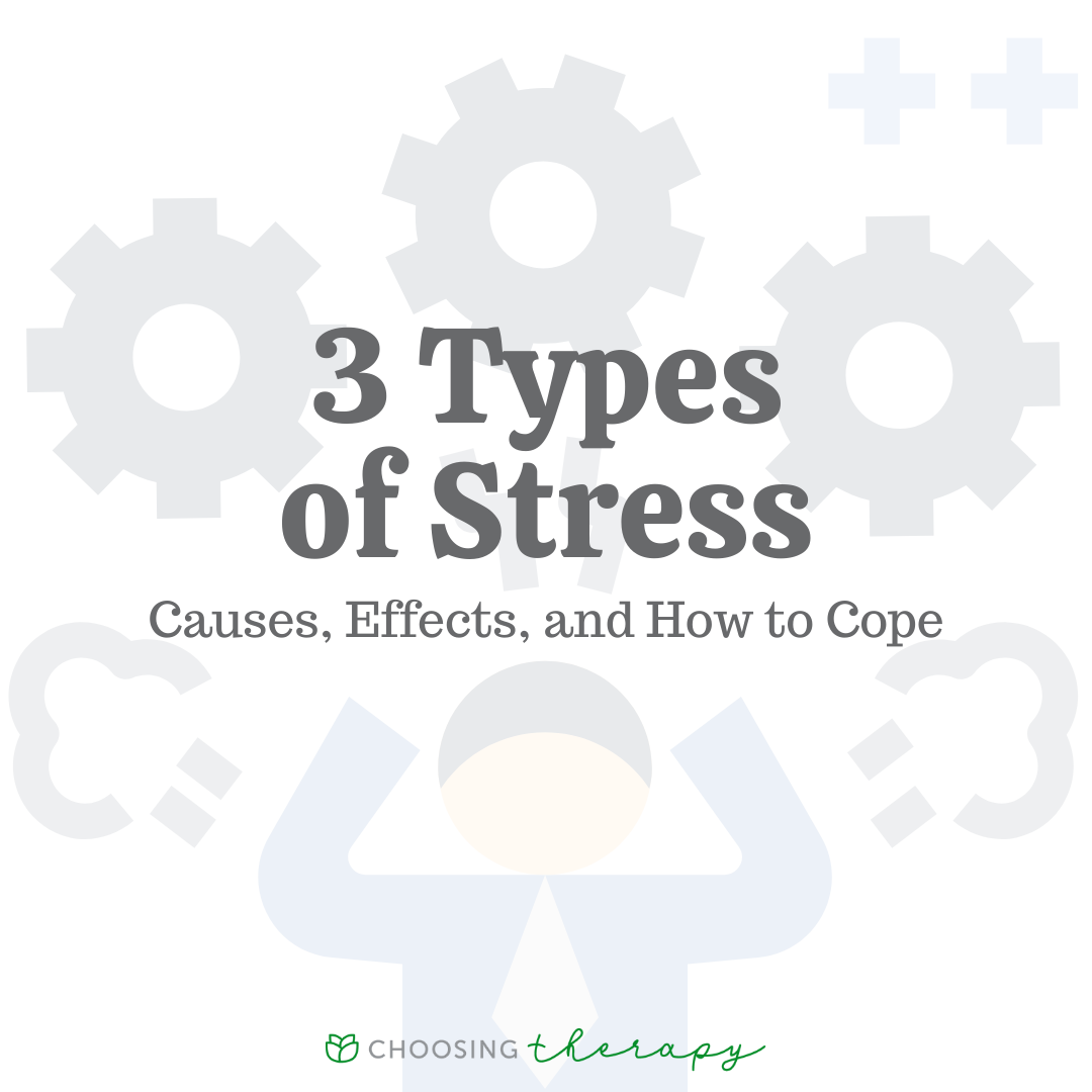 essay about types of stress