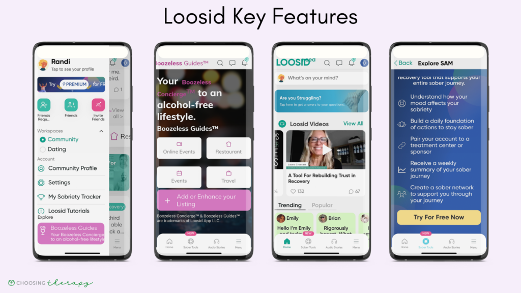 four images of Loosid Key Features