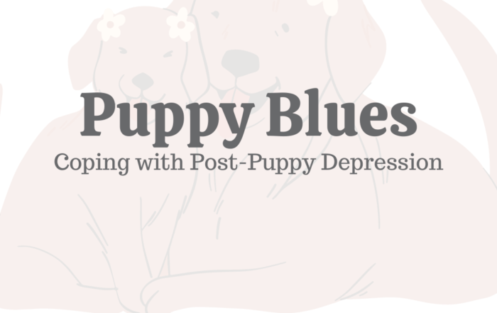 Puppy Blues: Coping With Post-Puppy Depression