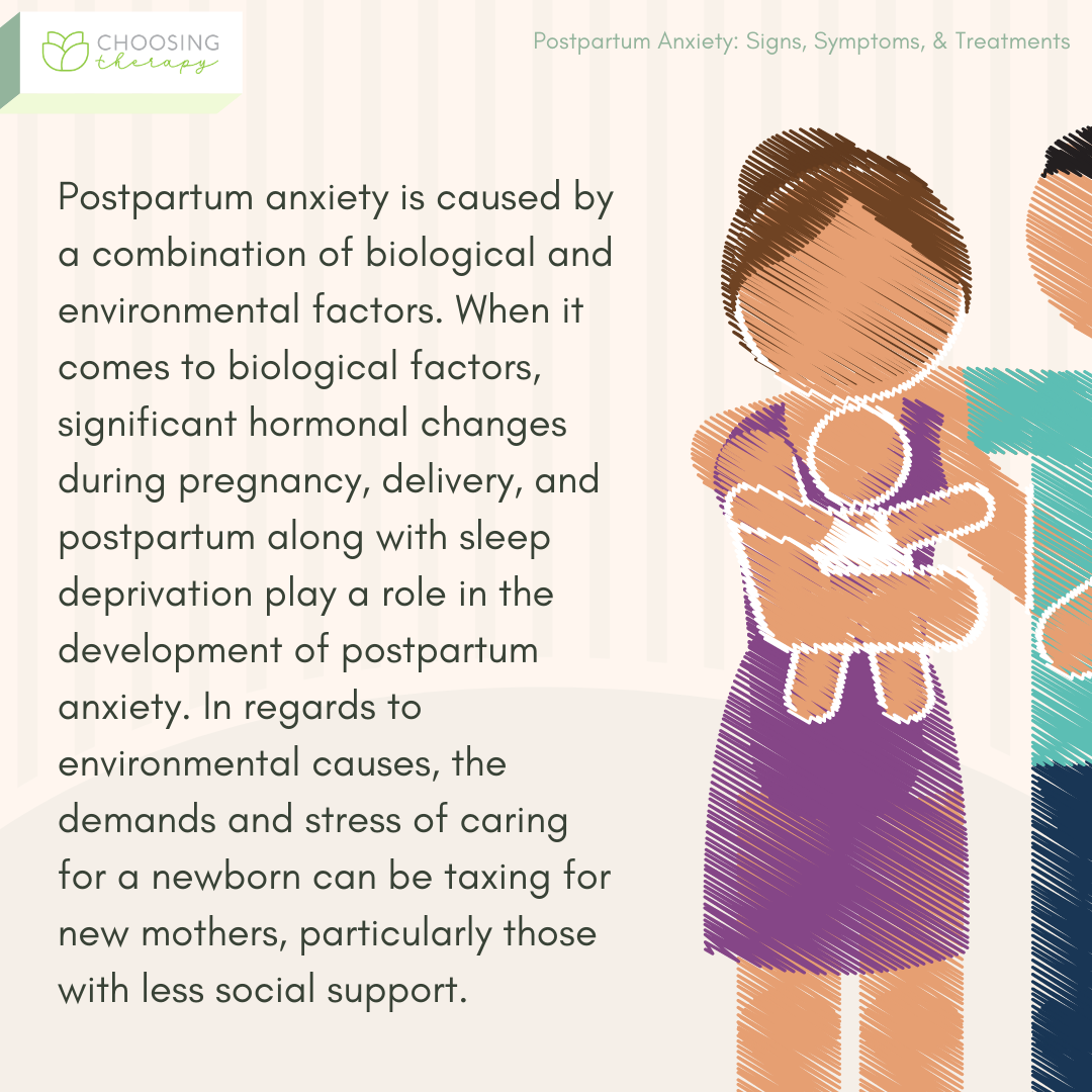 Biological and Environmental Factors Causing Postpartum Anxiety