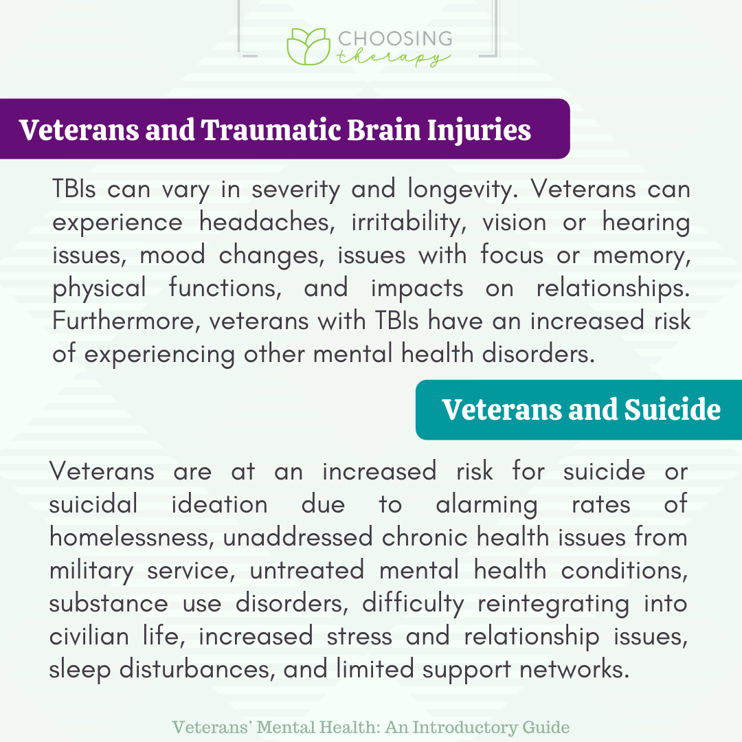 Veterans and Traumatic Brain Injuries and Suicide