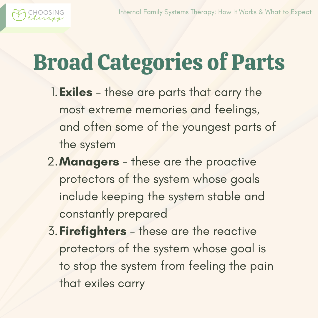 Broad Categories of Internal Family Systems Therapy Parts