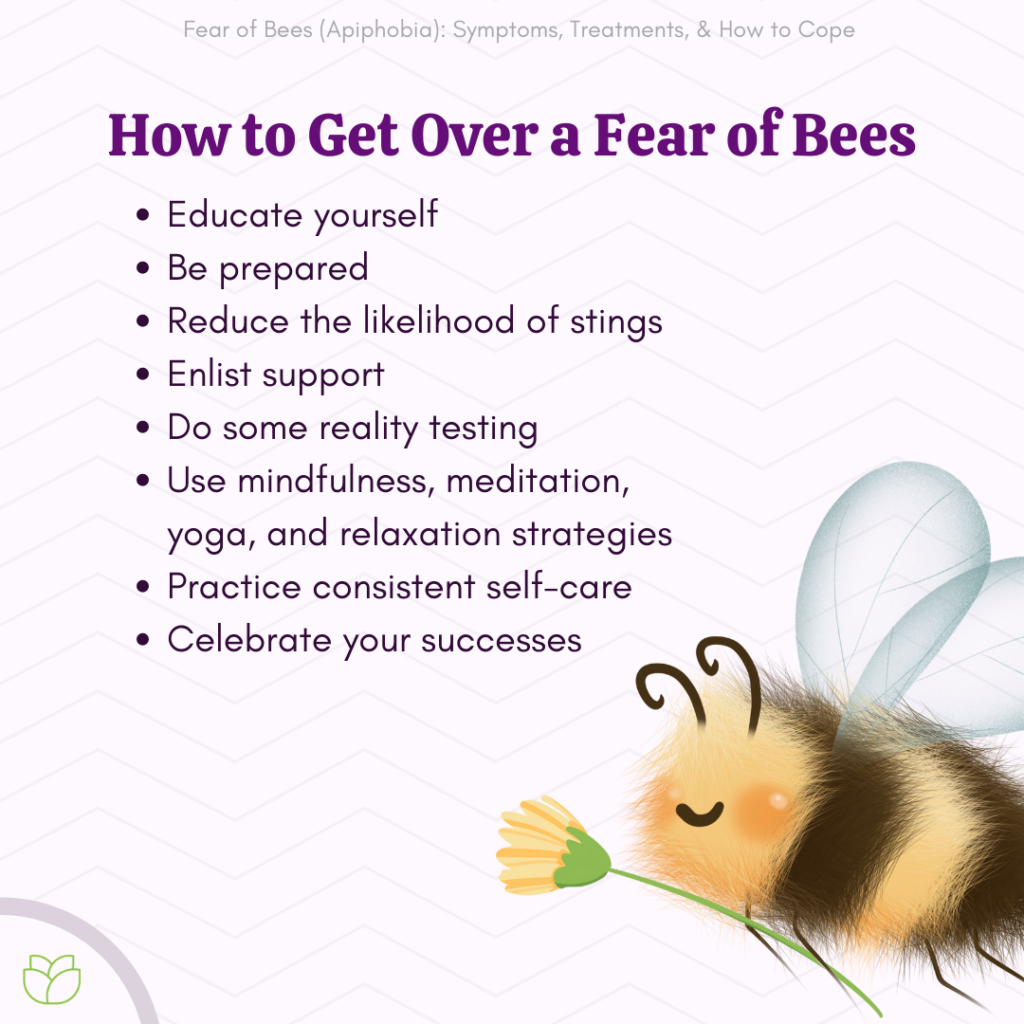 How to the Fear of Bees