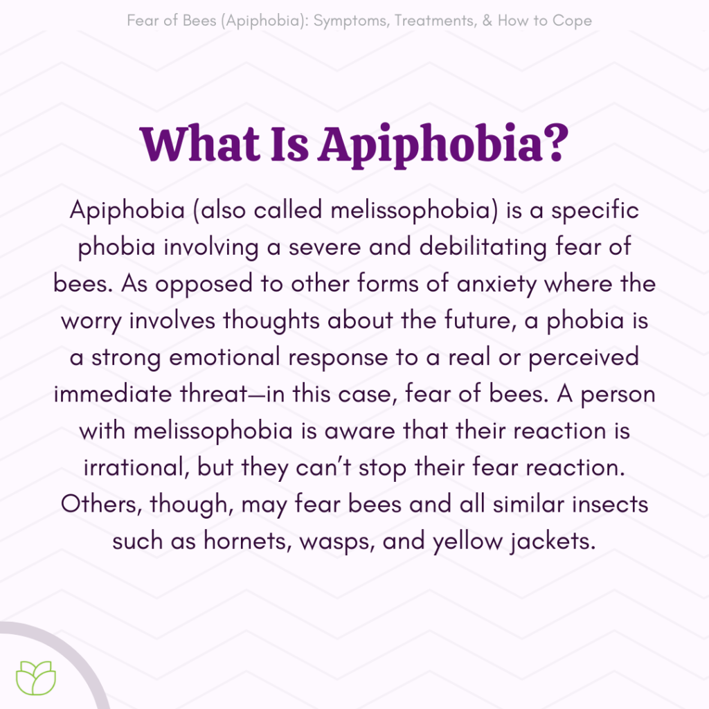 How to the Fear of Bees