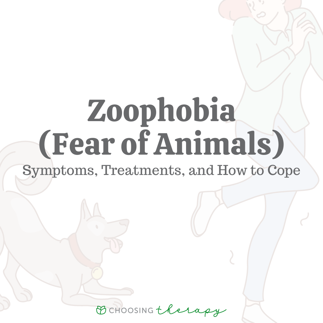 Overcoming your Fear of Animals