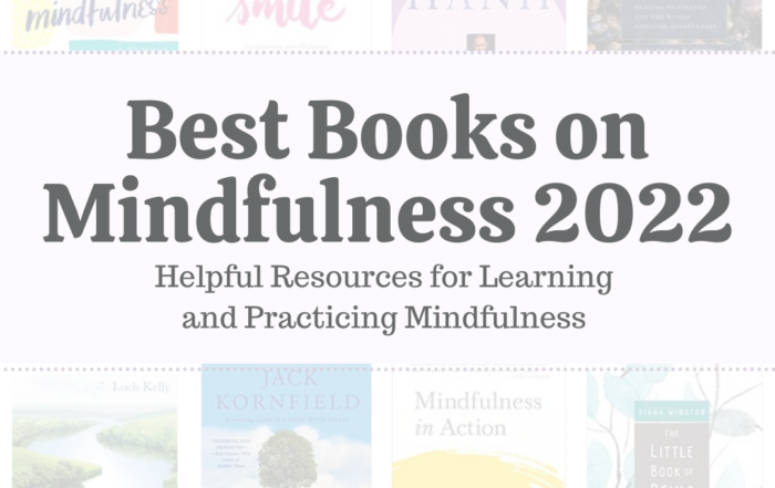 21 Best Books On Mindfulness 2022 Learning and Practicing Mindfulness