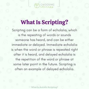 What Is Scripting