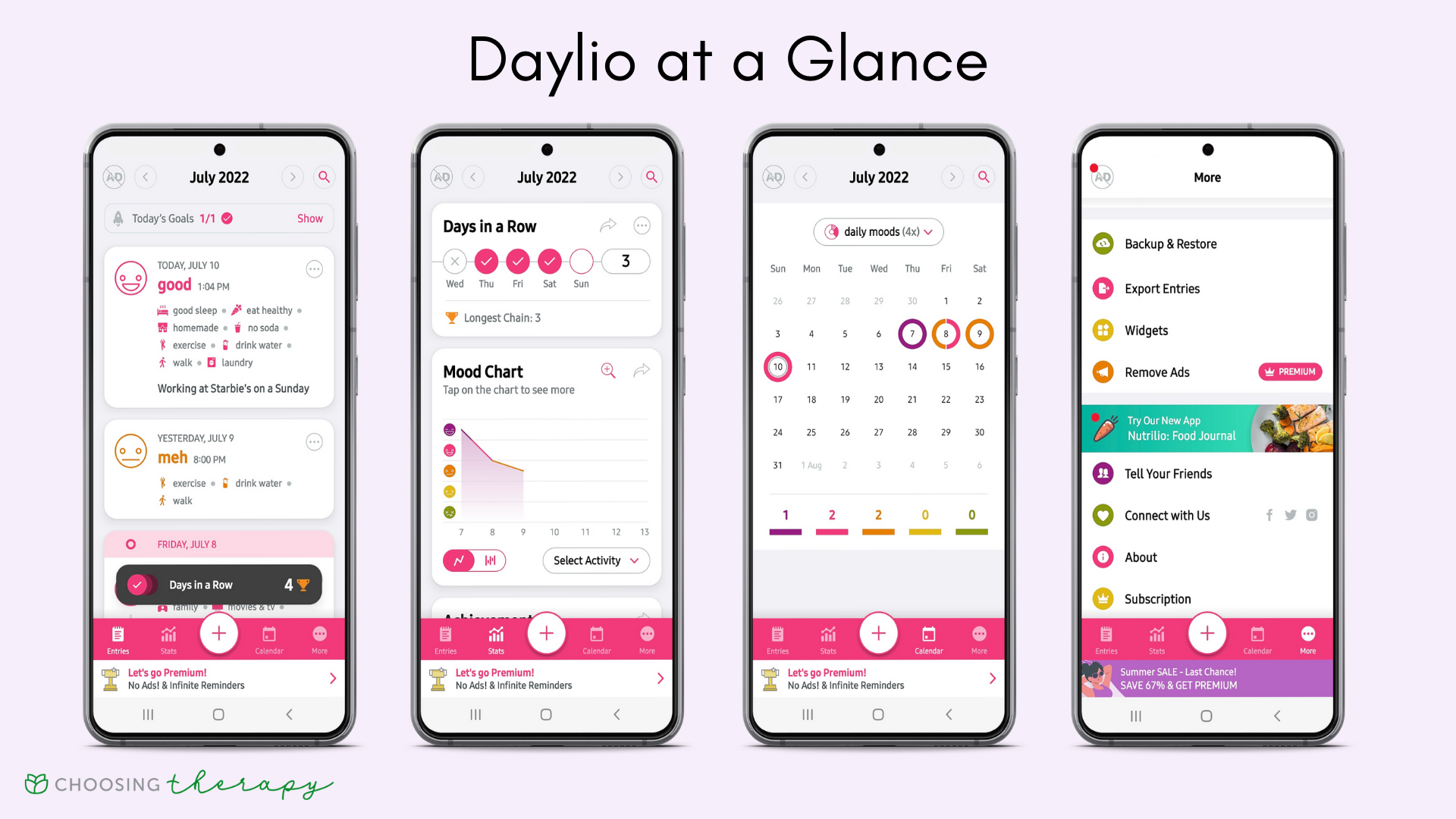daylio premium