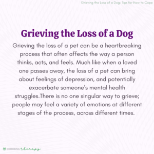 Grieving the Loss of a Dog