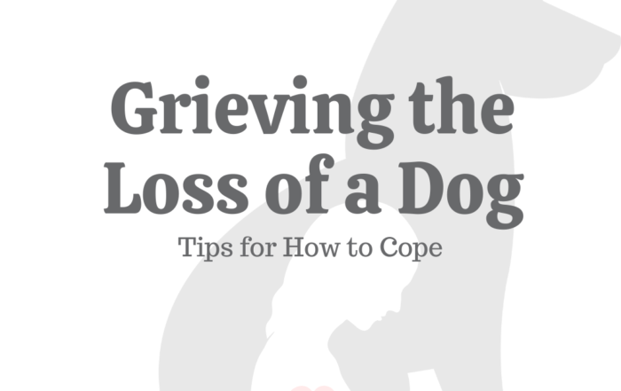 Grieving the Loss of a Dog 5 Tips for How to Cope