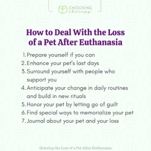 How to Deal With the Loss of a Pet After Euthanasia