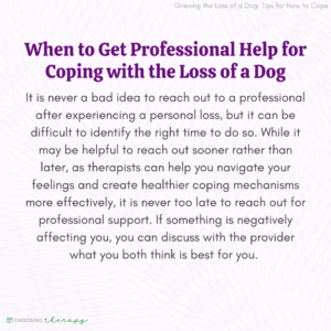 When to Get Professional Help for Coping with the Loss of a Dog