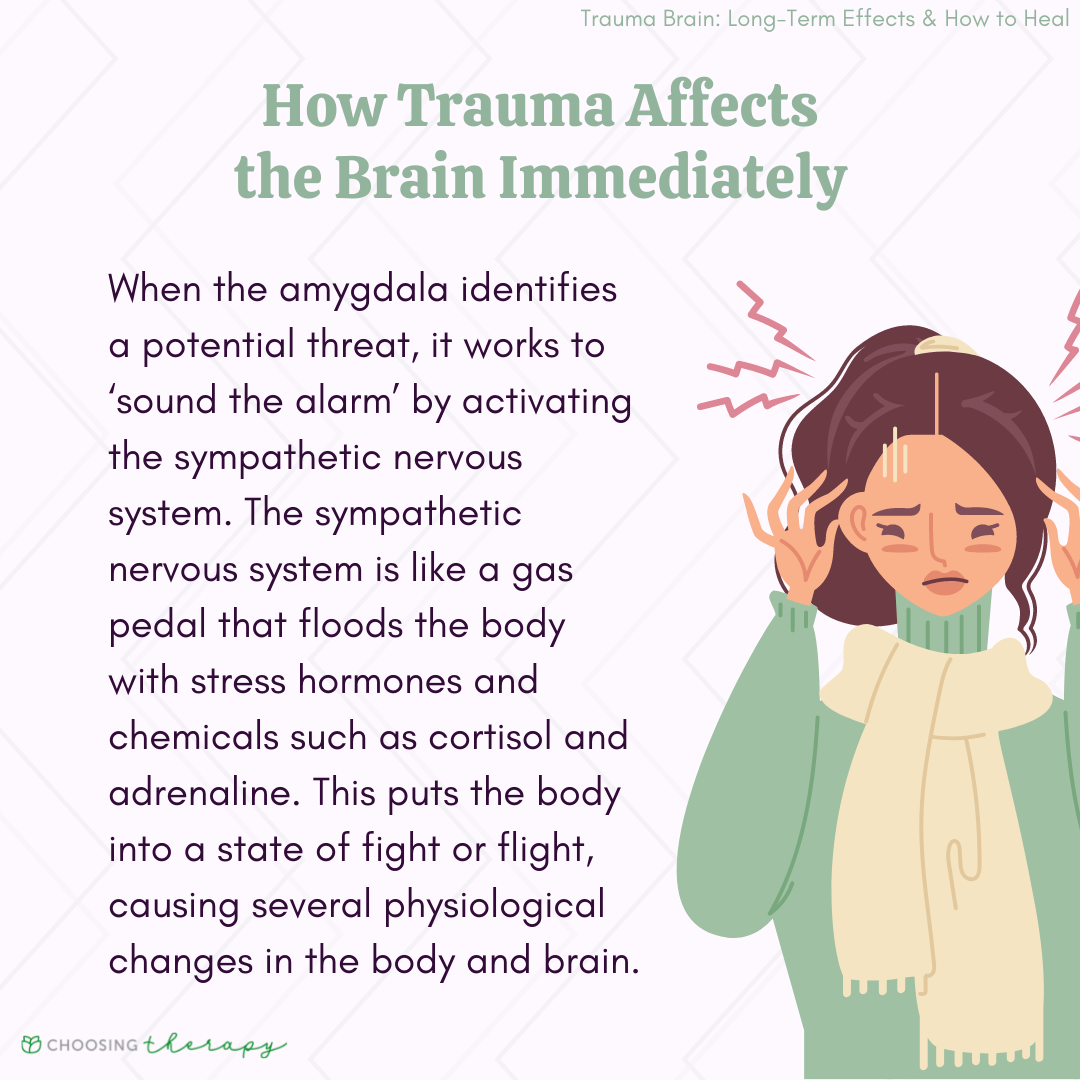 How Does Trauma Affect The Brain 