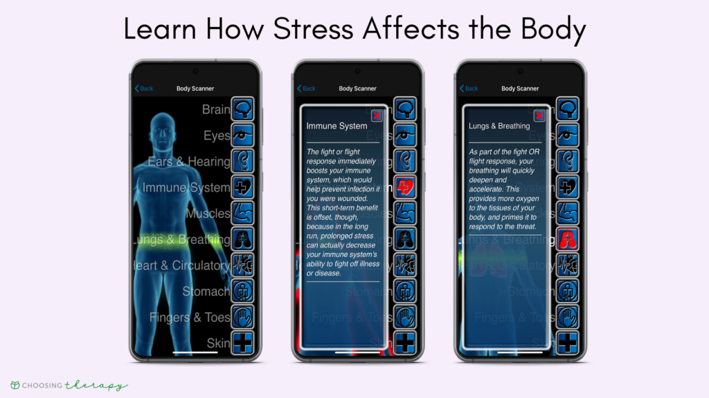 Breathe2Relax App Review 2022 - three images of the app Learning section on how stress affects the body