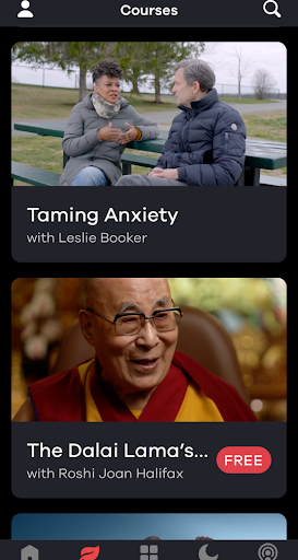 Ten Percent Happier Courses