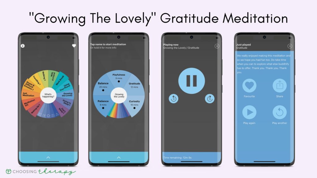 Buddhify App Review 2022 -- Image of the Growing the Lovely wedge in the Default wheel with the gratitude meditaiton highlighted