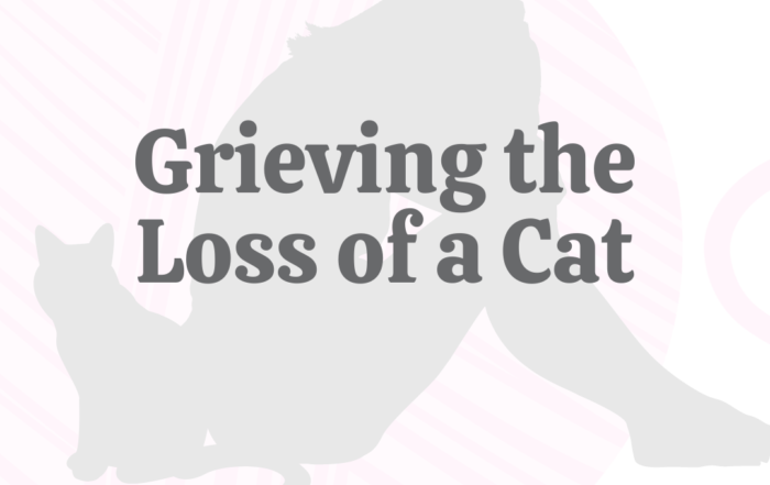 Grieving the Loss of a Cat
