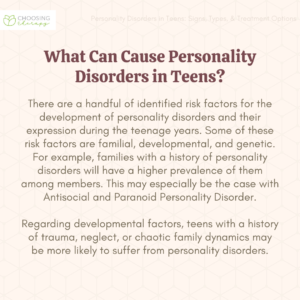 What Can Cause Personality Disorders in Teen?