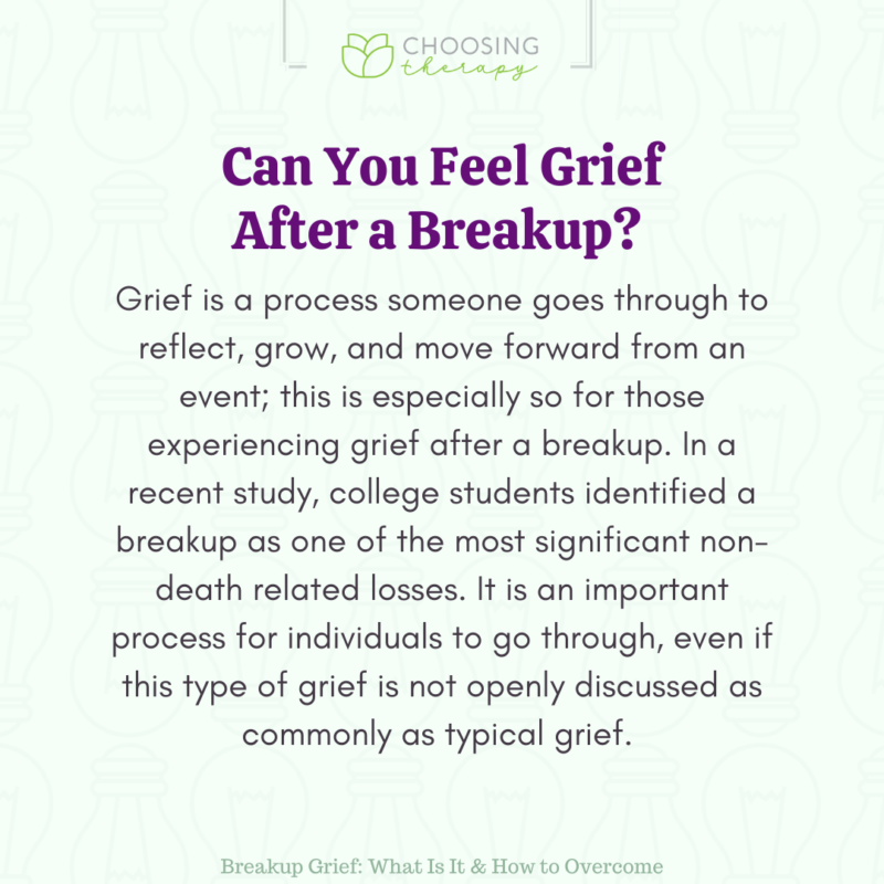 Baumgartner'S Partner'S Raw Grief: A Video That Will Break Your Heart - kyuehha