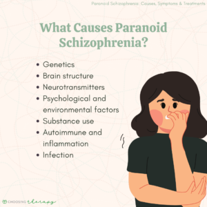 What Causes Paranoid Schizophrenia?