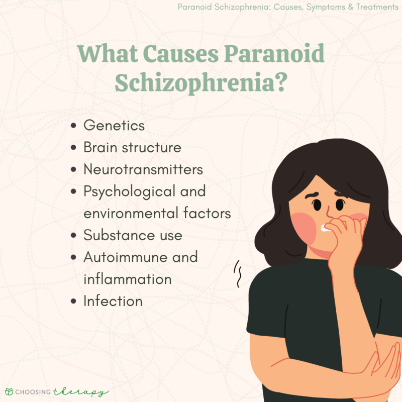 What Is Paranoid Schizophrenia 