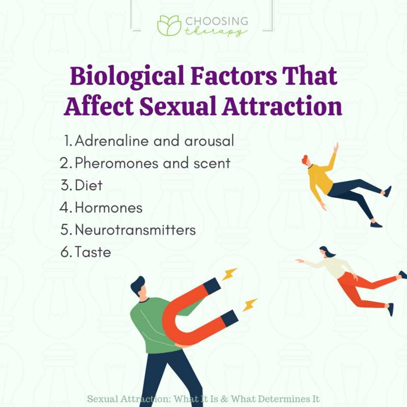 biological factors that affect sexual attraction
