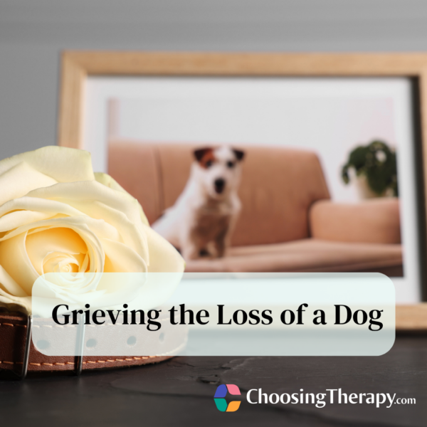 Grieving the Loss of a Dog 7 Ways to Cope