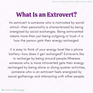 What Is an Extrovert?