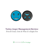 alley Anger Management Review 2023
