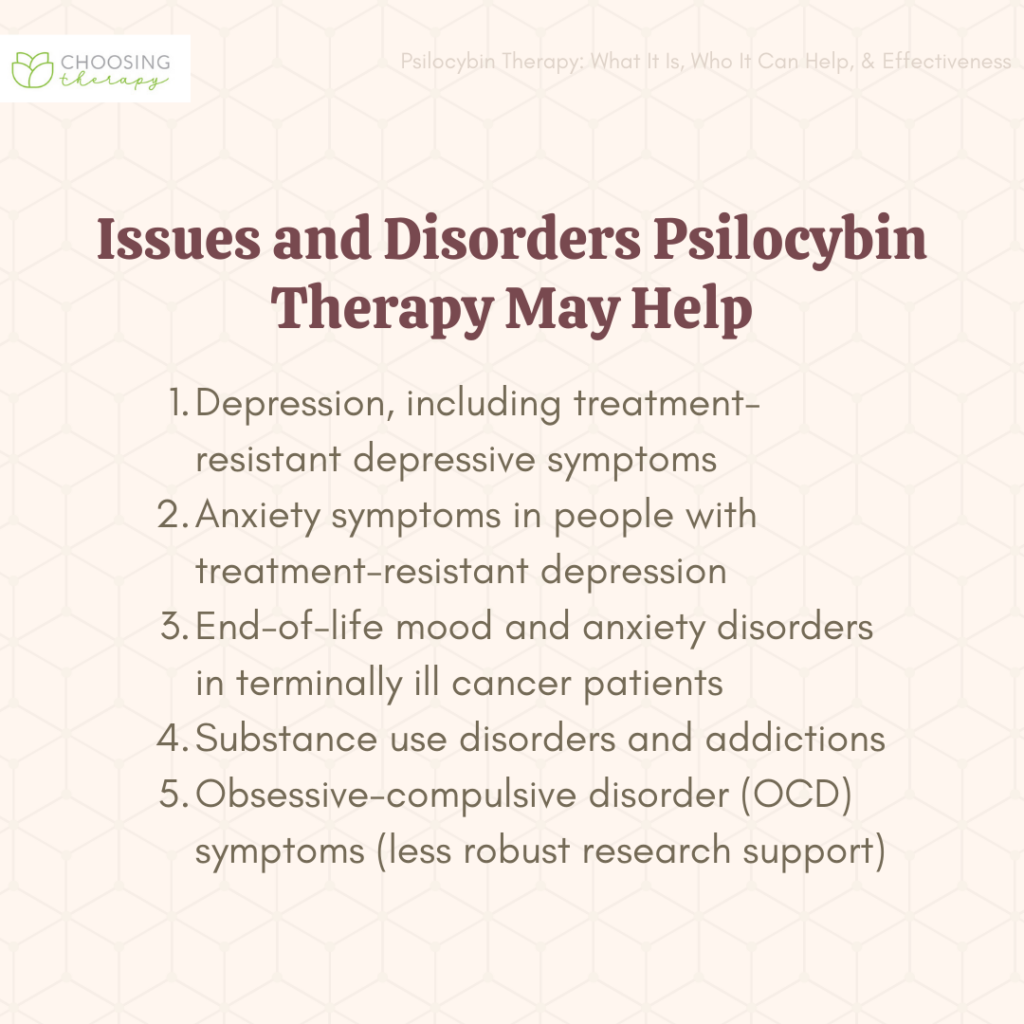 Is Mushroom Therapy Safe Effective