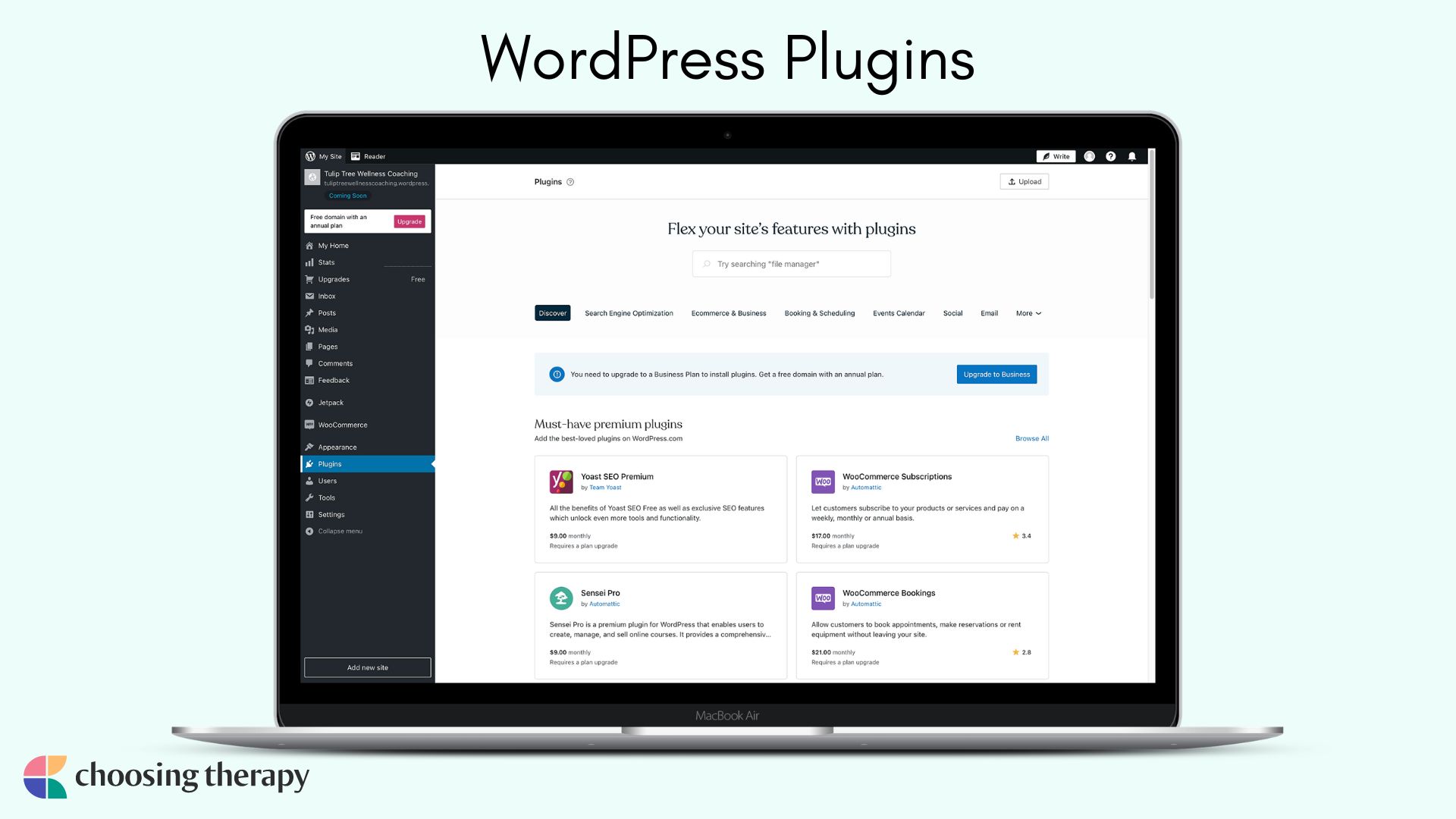 Wordpress review_ Image of wordpress plugins marketplace