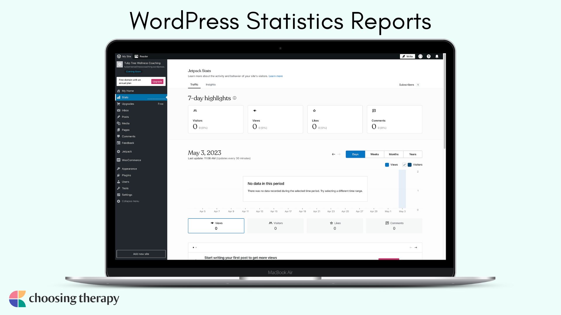 Wordpress review_ image of wordpress stats reporting