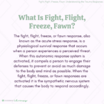 What Is the Fight Flight Freeze Fawn Response?