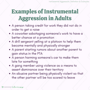 Examples of Instrumental aggression in Adults