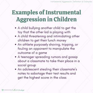 Examples of Instrumental Aggression in Children