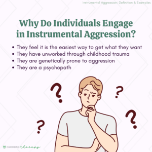 Why Do Individuals Engage in Instrumental Aggression?
