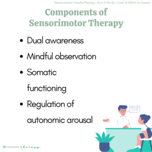Components of Sensorimotor Therapy