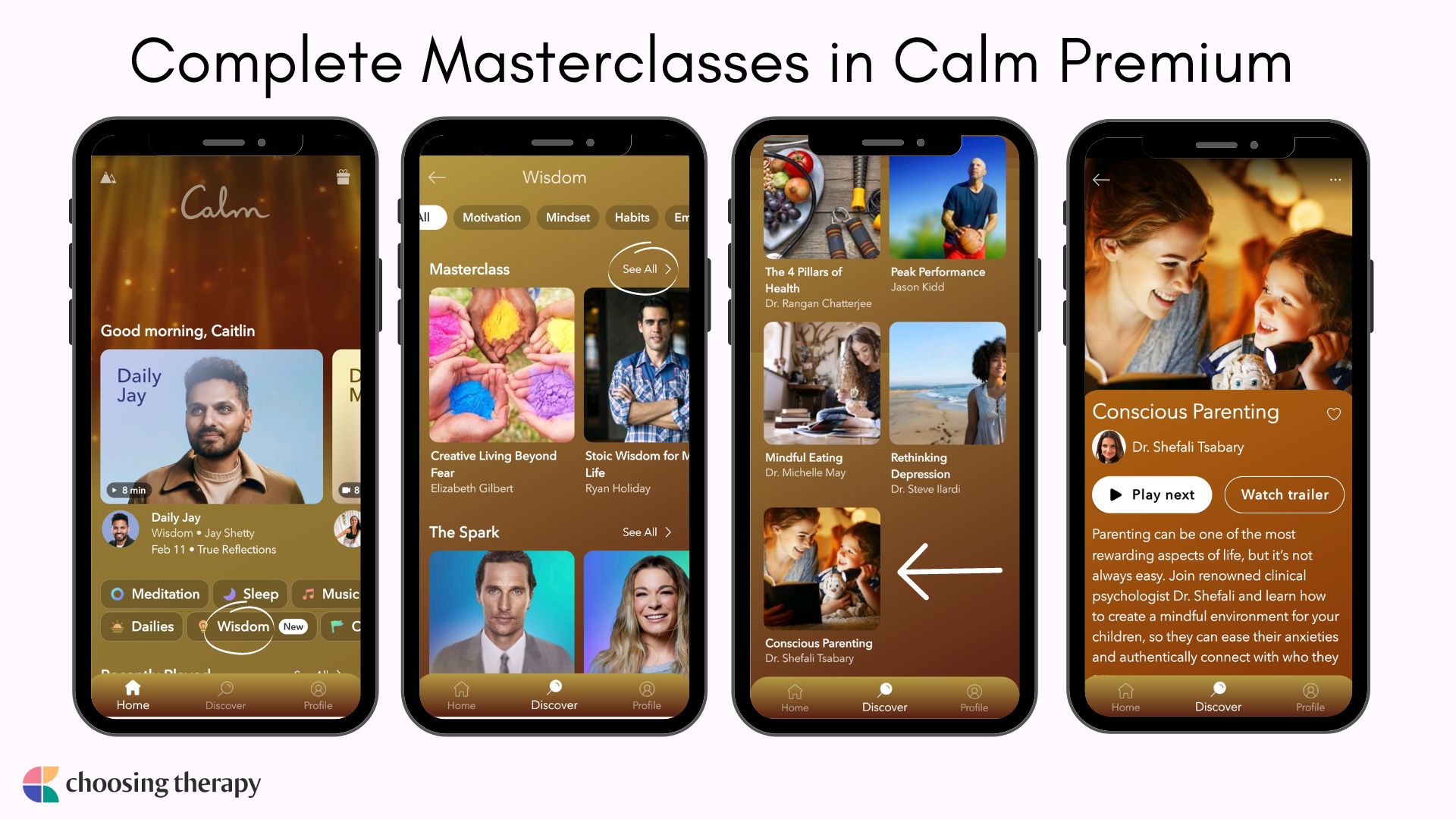 Image of Complete Masterclasses in Calm Premium