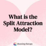 What is the Split Attraction Model