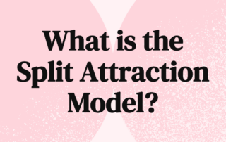 What is the Split Attraction Model