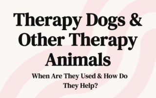 Therapy Dogs