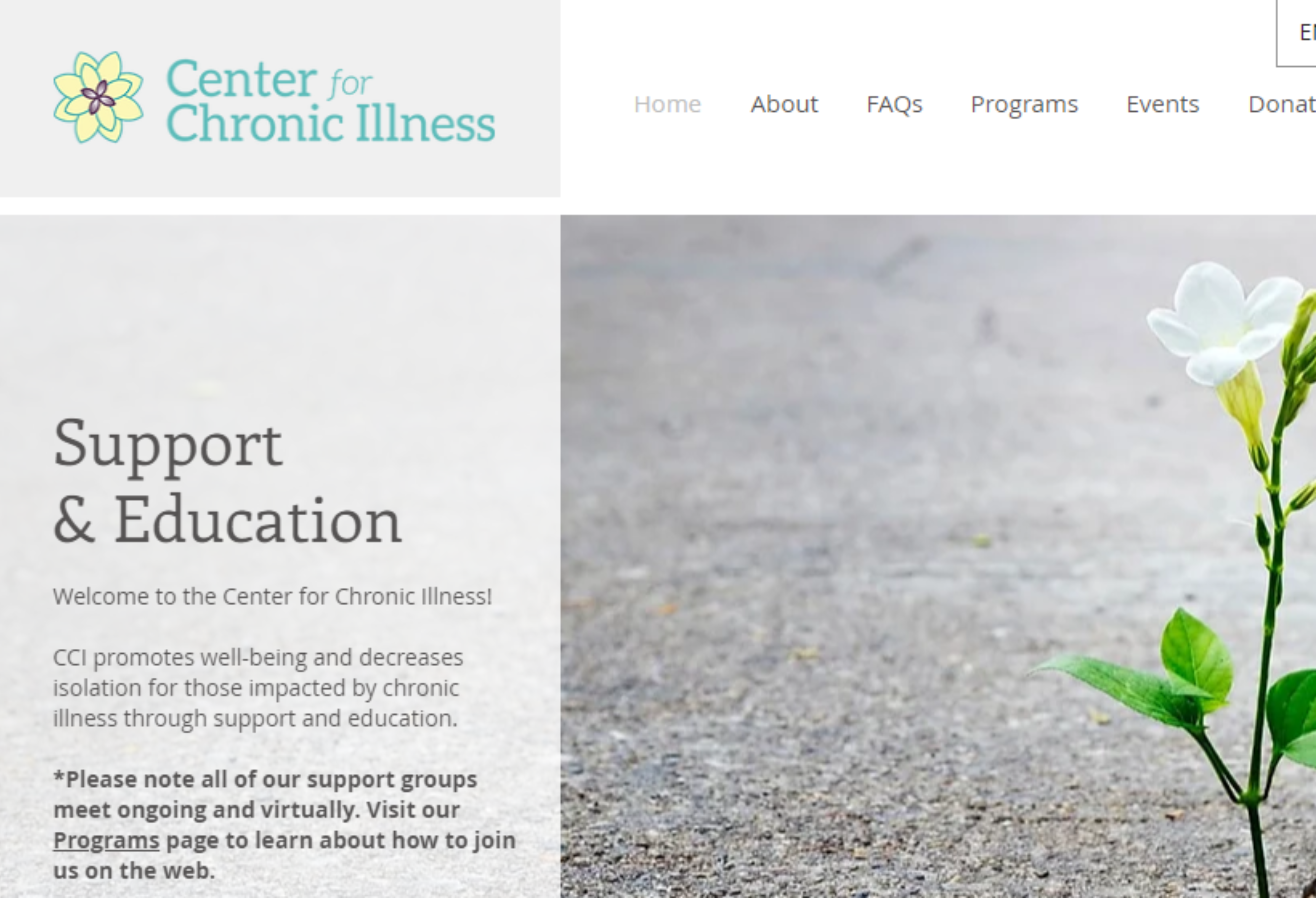 Image of CCI Online Home Page