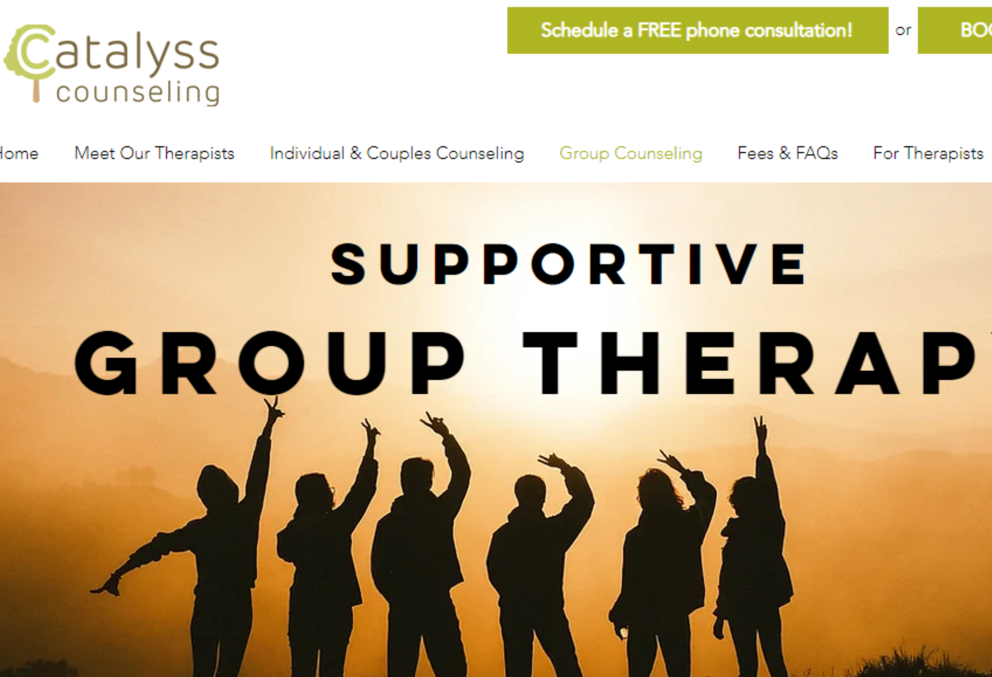 Image of Catalyss Counseling Online Home Page