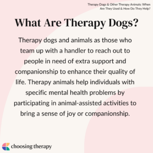 What Are Therapy Dogs?