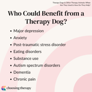 Who Can Use Therapy Dogs?