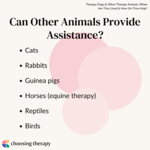 Other Service Animals